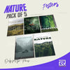 Into the Wild Posters
