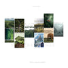 Wilderness Posters